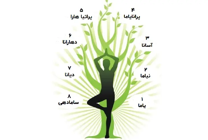 ۸ عضو یوگا (Limbs of Yoga)